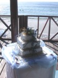 Wedding cake, sea theme, Ganzekraal